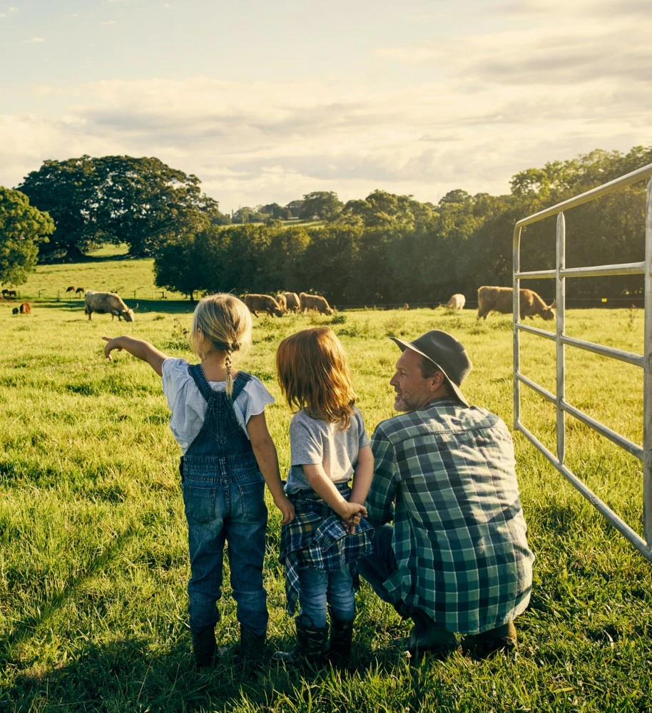 environment and sustainability sector